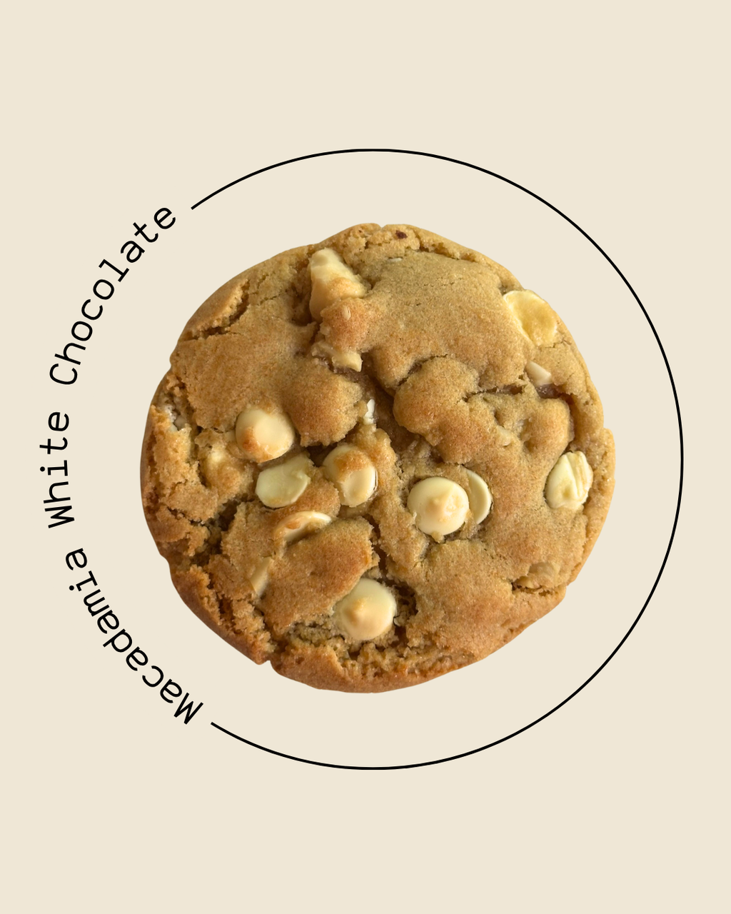Classic Cookie Box (6 Stück)