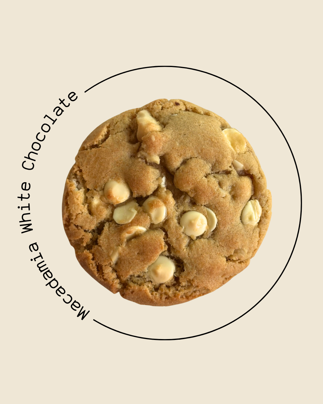Classic Cookie Box (6 Stück)