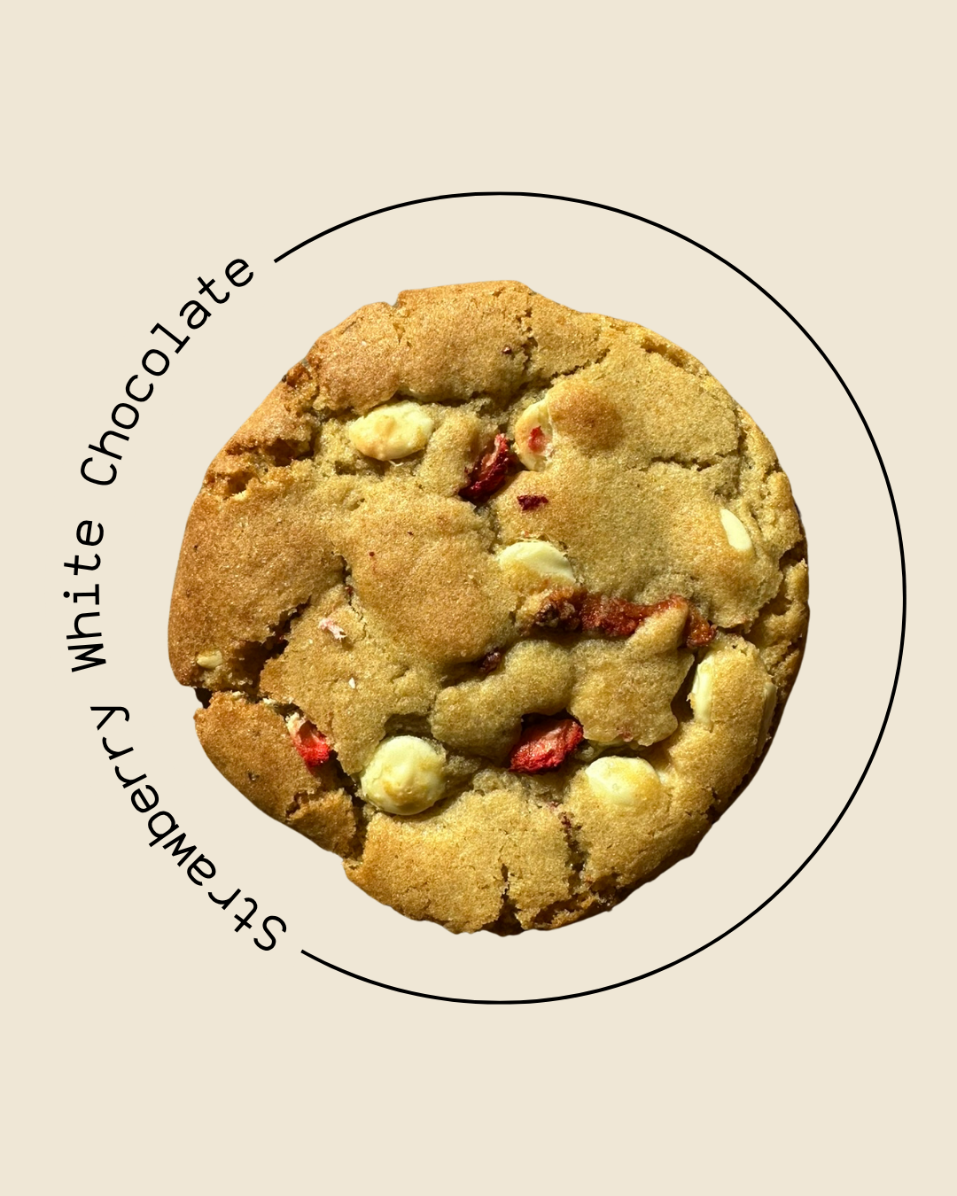 Classic Cookie Box (6 Stück)