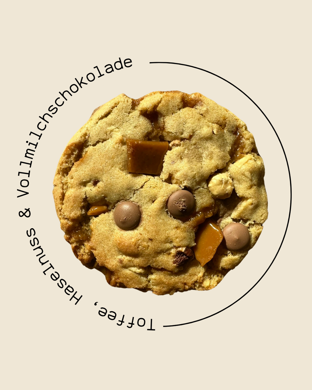 Classic Cookie Box (6 Stück)