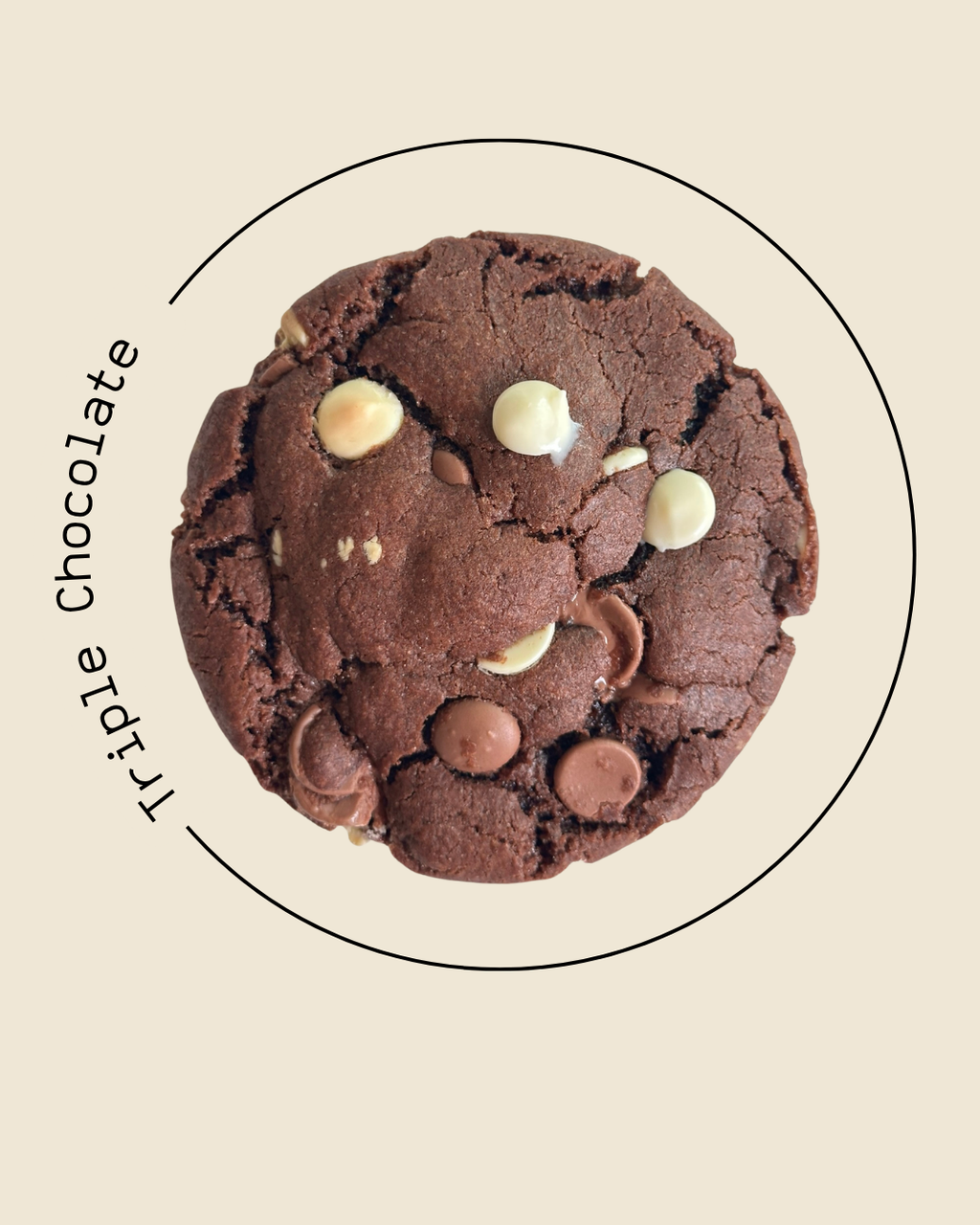 Classic Cookie Box (6 Stück)